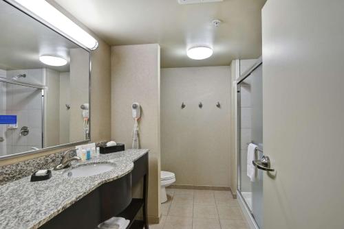 ein Badezimmer mit einem Waschbecken, einem WC und einem Spiegel in der Unterkunft Hampton Inn Lewisburg in Lewisburg