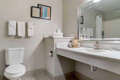 een badkamer met een toilet, een wastafel en een spiegel bij Best Western Clare Hotel in Clare