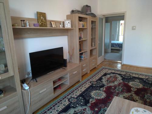 a living room with a television and a fireplace at Apartament Promenada, 3 camere, langa Cazino, Faleza, Acvariu, Port Tomis, Plaja, Piata Ovidiu in Constanţa