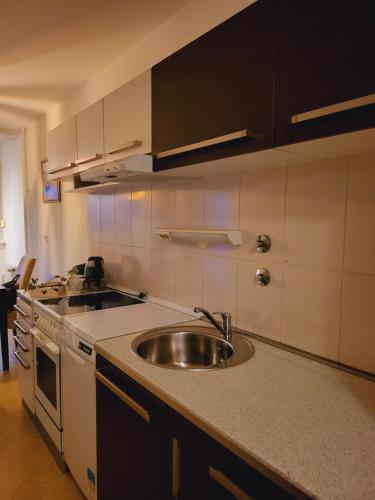 a kitchen with a sink and a stove at Dolly Apartment Airport in Velika Gorica