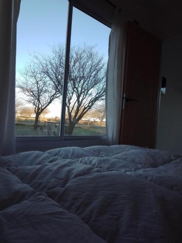 an unmade bed in a bedroom with a window at Cardo Ruso Cabaña in Toay
