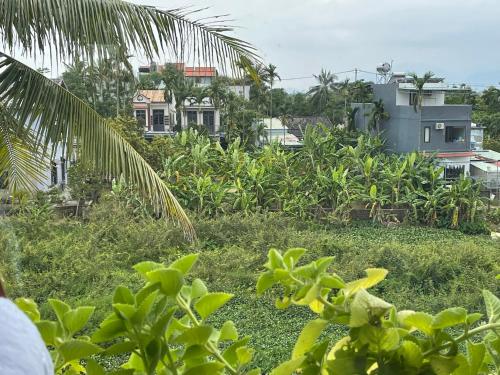 a view of a garden with houses in the background at Hoi An Ti Hon House in Hoi An