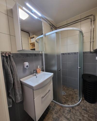 La salle de bains est pourvue d'un lavabo et d'une douche. dans l'établissement The entire comfortable apartment, à Rakvere