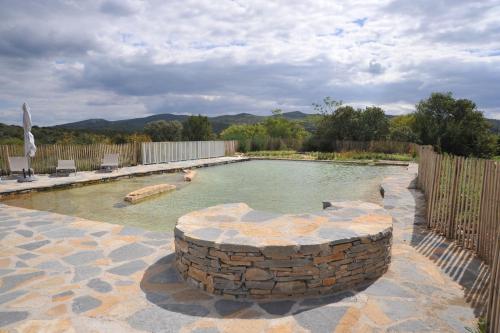 - une piscine avec une fontaine en pierre dans la cour dans l'établissement Domaine de Ceyrac, à Conqueyrac