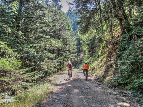 two people riding bikes on a dirt road in a forest at Rodami in Kalentzi