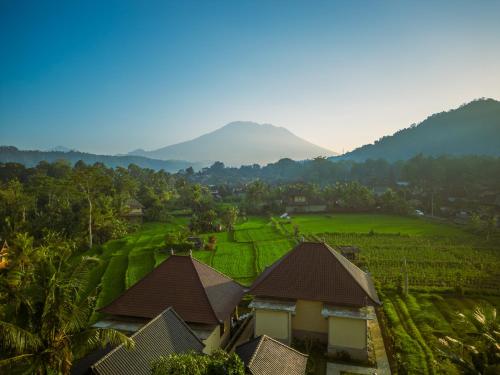 a view of a farm with a mountain in the background at The babakan accommodations in Sidemen