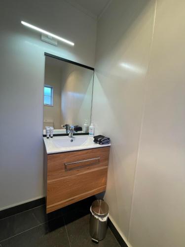 a bathroom with a sink and a mirror at Colonial Motel in Twizel