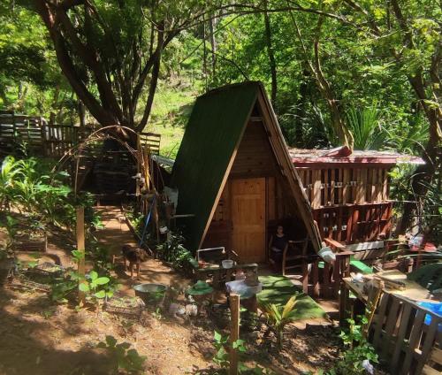 une petite maison avec un toit vert dans une forêt dans l'établissement Victoria´s forest House, à Roatán