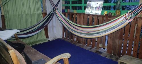 Duas redes de descanso num quarto com um tapete azul em Victoria´s forest House em Roatan
