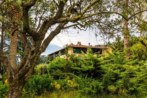 Casa Matilde – Photos 3