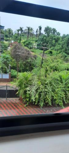 a window view of a garden from a train at Eve Resort in Patnem