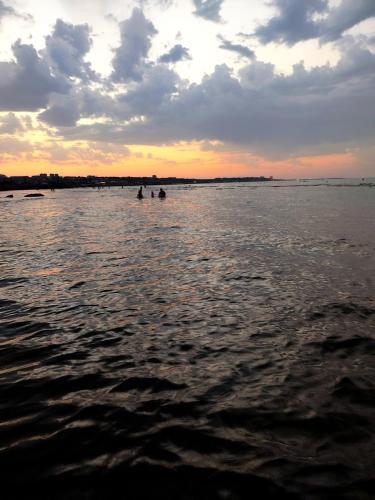a group of people swimming in the water at sunset at Villa Vishnyovka in Baku