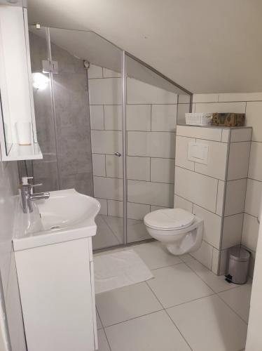 a white bathroom with a toilet and a shower at Kuca za odmor Adriatica in Antovo
