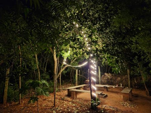 um banco de parque com luzes debaixo de uma árvore à noite em Nebula Nest Cafe & Hostel em Auroville