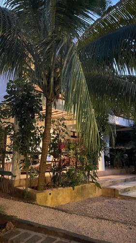 a palm tree in front of a building at Atii Garden Bungalows in Nungwi
