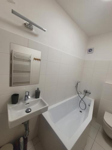 a bathroom with a sink and a tub and a toilet at Zámek Ruda nad Moravou in Ruda na Moravě
