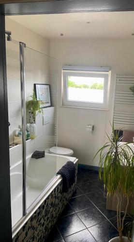 uma casa de banho com um chuveiro, um WC e um lavatório. em Champagne em Waimes