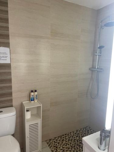 La salle de bains est pourvue d'une douche et de toilettes blanches. dans l'établissement Idyllic getaway in countryside, à Clonmel