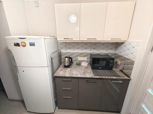a small kitchen with a refrigerator and a microwave at Cosy Home in Gyumri