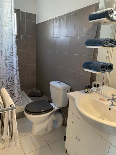 La salle de bains est pourvue de toilettes et d'un lavabo. dans l'établissement Jolie petite maison Avignon - Montfavet, à Montfavet