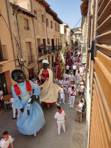 a group of people dressed in costumes walking down a street at Apartamento El Mirador de la Rua in Estella