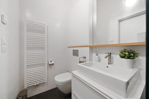 a white bathroom with a sink and a toilet at Vánice pod Klínovcem in Loučná pod Klínovcem