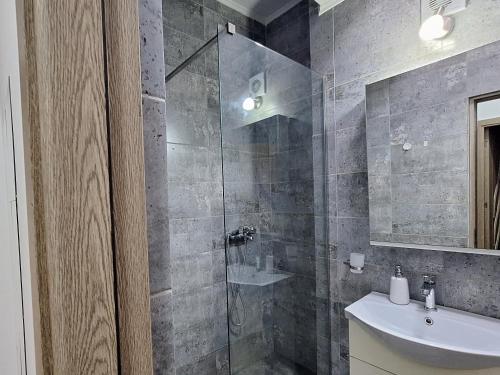 北瑪麥亞–納沃達里的住宿－Moni apartment，一间带水槽和玻璃淋浴的浴室