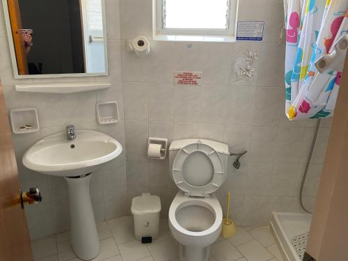 a small bathroom with a toilet and a sink at Dolphin Hotel Apartments in Karpathos