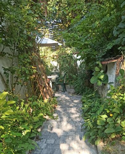 a garden path with a bench and trees at Panka House in Zalakaros