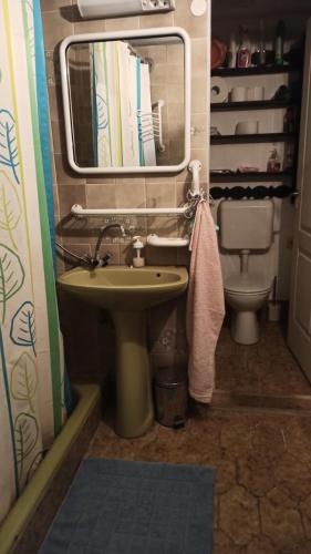 a bathroom with a sink and a toilet and a mirror at Panka House in Zalakaros