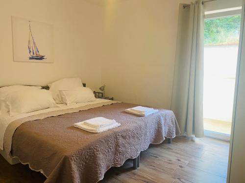PaFi Apartment