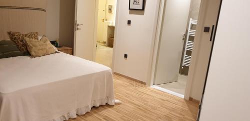 Renovated Kallimarmaro Apt in Athens Historic center