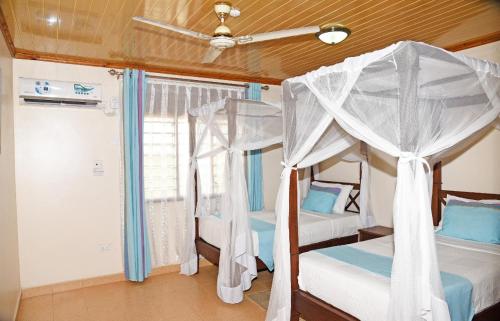 1 dormitorio con 2 literas y techo en Galu Gardens Diani Beach ,Coastal Apartments by Nest & Nomad en Kwale