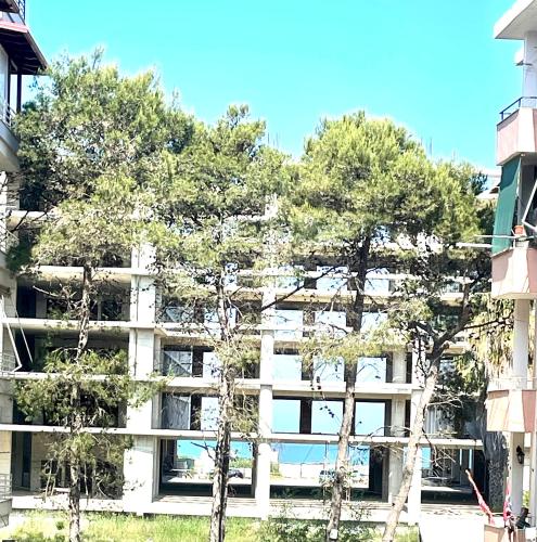 Avenue by the Sea -Pamje Deti - Image 7
