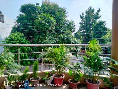 a balcony with a bunch of plants in pots at Privyrooms in Gorakhpur