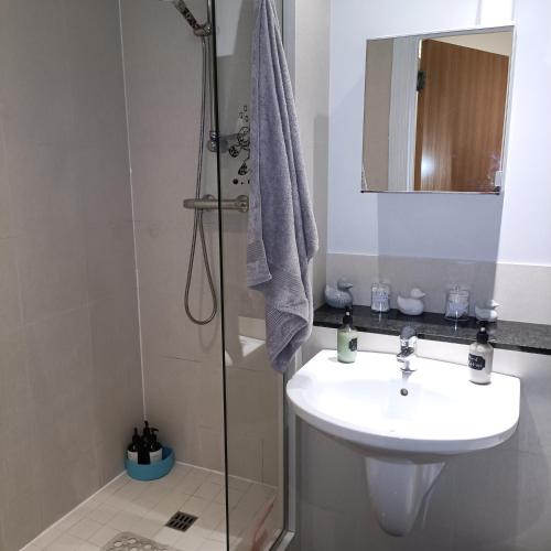 a bathroom with a sink and a shower with a mirror at HomeStay Cosy Studio in Birmingham