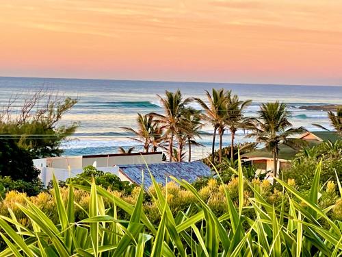 a view of the ocean from a beach with palm trees at COCOTREE beach house in Clansthal