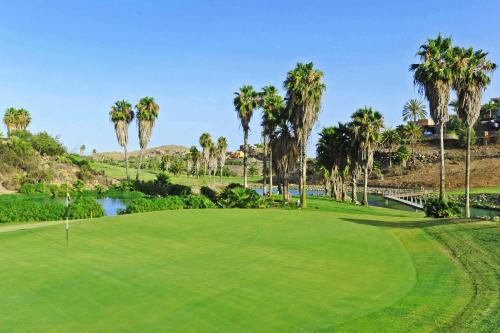 Salobre Vista Golf 8