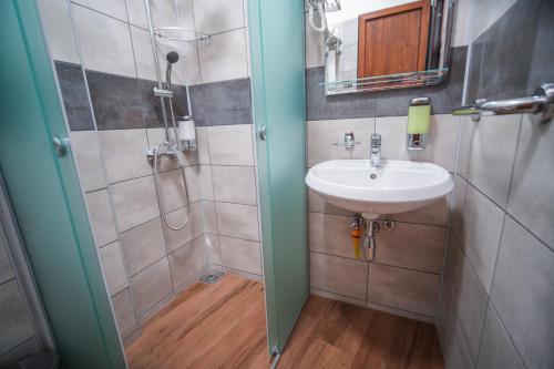 a bathroom with a sink and a shower at PRENOCISTE SOLE in Vranje