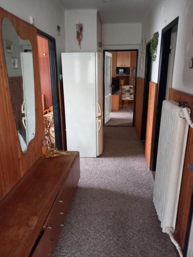 einen Flur mit einem weißen Kühlschrank in einem Zimmer in der Unterkunft Apartment in the city of Pilsen in Božkov
