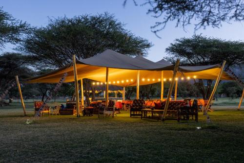 Фотография из галереи Lake Natron Maasai giraffe eco Lodge and camping в городе Mtowabaga