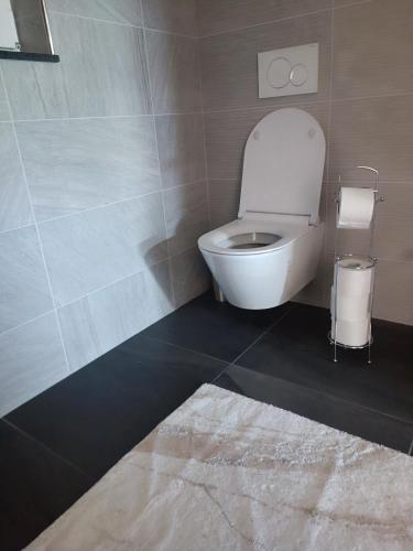 a bathroom with a white toilet in a room at Vila Frigo Olimia in Podplat