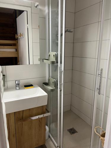 une salle de bain avec un lavabo et une douche dans l'établissement Appartement 4-6 personnes Les 2 Alpes, à Les Deux Alpes