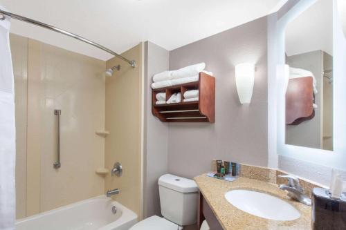 e bagno con lavandino, servizi igienici e doccia. di Wingate by Wyndham Charleston Coliseum a Charleston