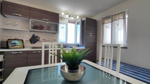 a kitchen with a table with a potted plant on it at Il Limoneto di Leo in Mascali