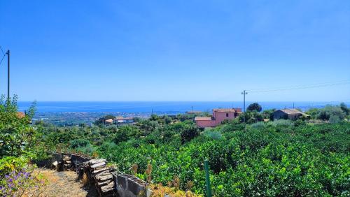 a view of a vineyard with trees and buildings at Il Limoneto di Leo in Mascali