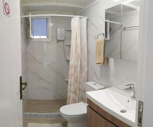 W łazience znajduje się toaleta, umywalka i prysznic. w obiekcie Rania 's house, next to the beach. w miejscowości Amoudara