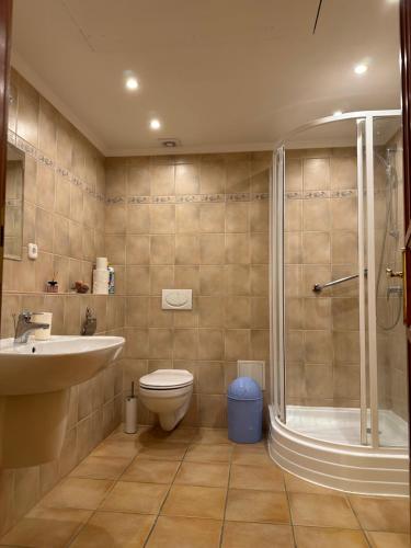 a bathroom with a toilet and a shower and a sink at Apartment Roman villa in Hévíz