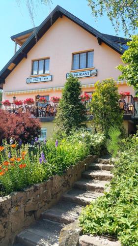 a house with a garden and stairs in front of it at A l'Arbre Vert in Wintzfelden