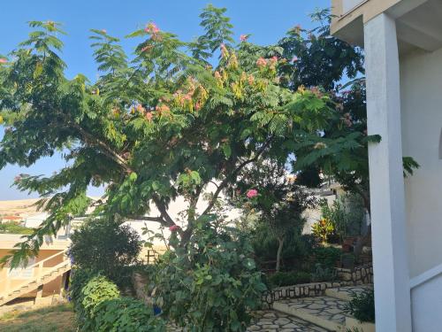 Φωτογραφία από το άλμπουμ του Apartments Ivan σε Zubovići